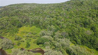 0 Creek Ridge Rd, Ellicottville, NY 14731