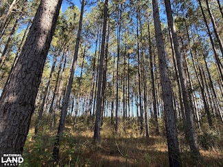 0 County Road 372, Elba, AL 36323