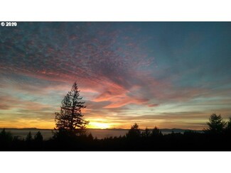 0 NW Skyline Blvd Unit 1LOT 20040313, Portland, OR 97231