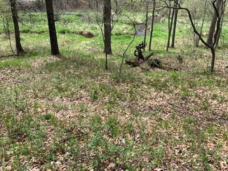 Lot #2 Stanley Dr, Mosinee, WI 54455