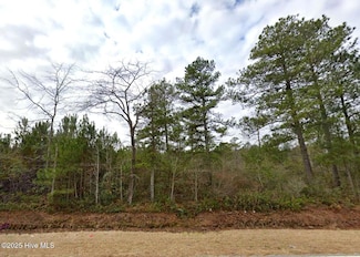 00 Elrod Rd, Rowland, NC 28383