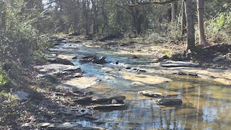 3931 Taylors Store Rd, Hampshire, TN 38461