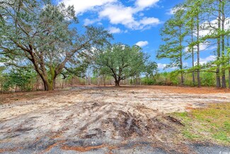 TBD 1.07ac Red Bluff Rd Unit 3930 Red Bluff Rd (p, Loris, SC 29569