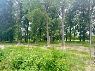 3.09 ac Purcell Rd, Paragould, AR 72450