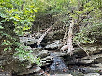 0 Super Deluxe Rd Unit 10594088, Rockmart, GA 30153