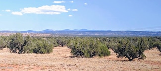 Lot 44 Ranch of the White Mountains Unit N9119, Concho, AZ 85924