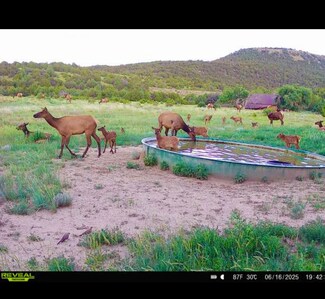 12630 Cr 175, Kim, CO 81049