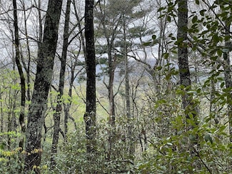 Lot 11 Cherokee Trace, Lake Toxaway, NC 28747