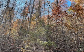 36C Indian Trail, Hayesville, NC 28904