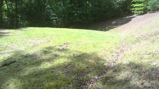 15 Painting Spring Ln, Whittier, NC 28789