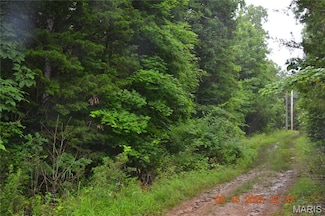 0 Old Cadet Rd, Bonne Terre, MO 63628