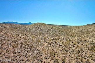 123 Antelope Ave Unit 123, Meadview, AZ 86444