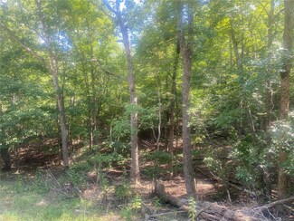 0 Highway Aa, Piedmont, MO 63957