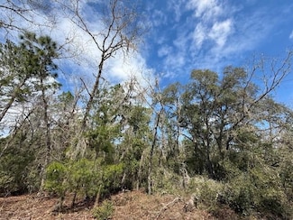 TBD SW 158th Ln, Dunnellon, FL 34432