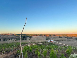 03 County Road 10, Winfield, AL 35594