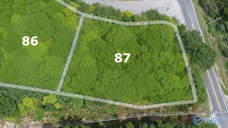 1300 Castlegate Blvd SE Unit Lot 87, Huntsville, AL 35801