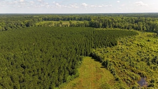 Palmetto Sands Rd, Branchville, SC 29432