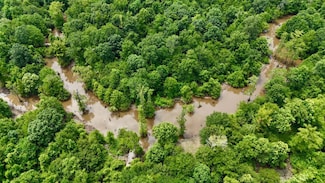 0 Mississippi 407, Kilmichael, MS 38967
