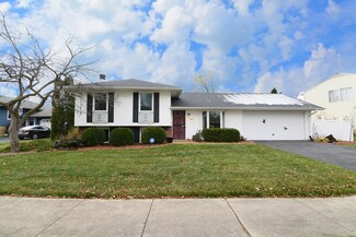 733 Sunrise Ln, Roselle, IL 60172