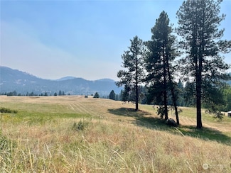0 Malo Lake Rd Unit NWM2270367, Malo, WA 99150
