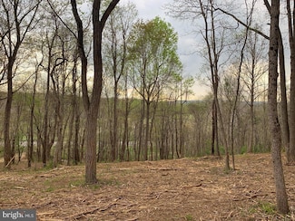 0 Winchester Rd Unit VAFQ2019696, Delaplane, VA 20144