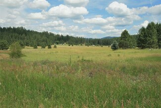 22408 N Dunn Rd, Chattaroy, WA 99003