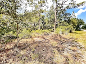514 Indian Lake Dr, Lake Wales, FL 33898