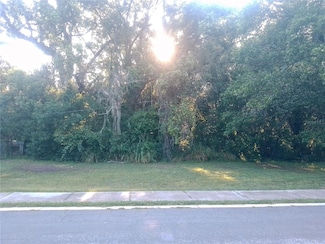 0 Gorham St, Mount Dora, FL 32757