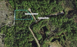 146 Bay Magnolia Ct, Carrabelle, FL 32322