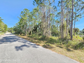 541 SW Darien Ave, Palm Bay, FL 32908