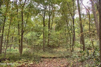 0 W Mountain Rd, Paxinos, PA 17860