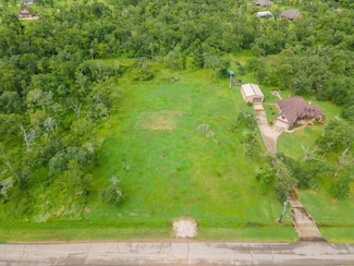 3102 Bayou View Ct, Richwood, TX 77515