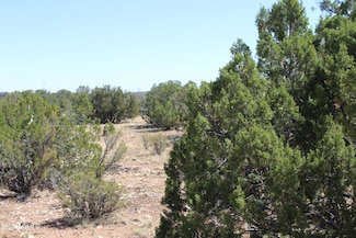 2122 Deeazinon Rd, Heber, AZ 85928