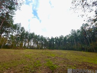 80116 Rosemary Ln, Saint Francisville, LA 70775