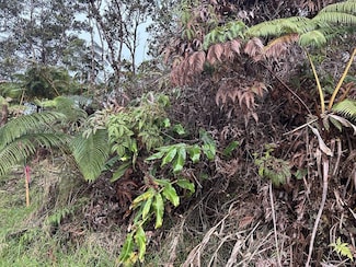 0 Ala Ohia St Unit 706502, Volcano, HI 96785