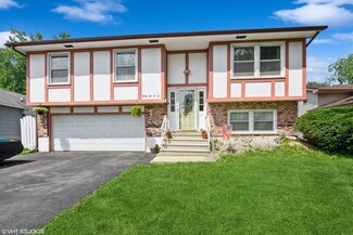 3206 Butler Ave, Steger, IL 60475