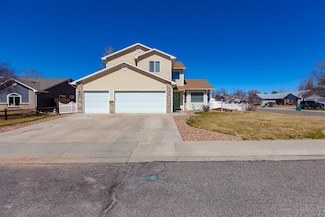 203 Elderberry Dr, Fruita, CO 81521
