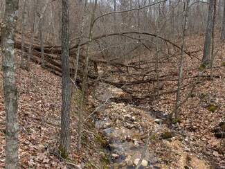 0 40 Acres Off of Highway 106 Unit 14049621, Eminence, MO 65466