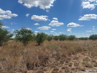 485 Joy Ln, Floresville, TX 78114