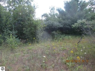 00 Plant Rd, Whittemore, MI 48770