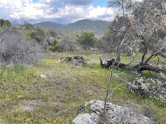 3786 Broncho Hollow Ln, Mariposa, CA 95338