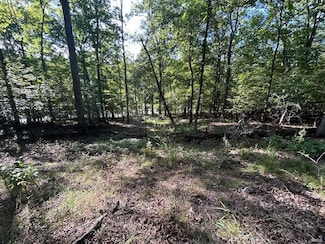 572 Marina Dr, Marthasville, MO 63357