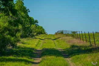 0 Farm To Market Road 2049, Three Rivers, TX 78071