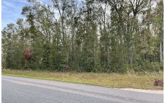 TBD 165th Rd, McAlpin, FL 32062