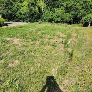 1608 Singleton Ave, Hannibal, MO 63401