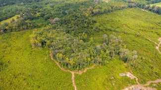 + - 86 Acres Unit Madison County MS, Canton, MS 39046