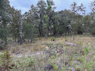 0 SE 63rd Ln, Morriston, FL 32668