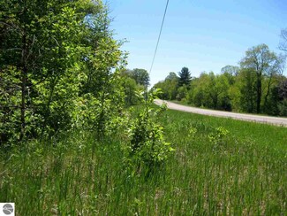 LOT H Reynolds Rd Unit H, Lake Ann, MI 49650