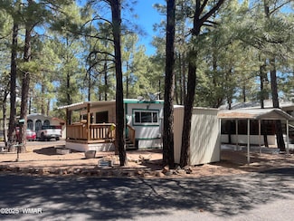 181 N 6th Dr, Show Low, AZ 85901