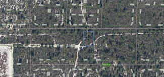 437 Souvenir Ln, Lake Placid, FL 33852